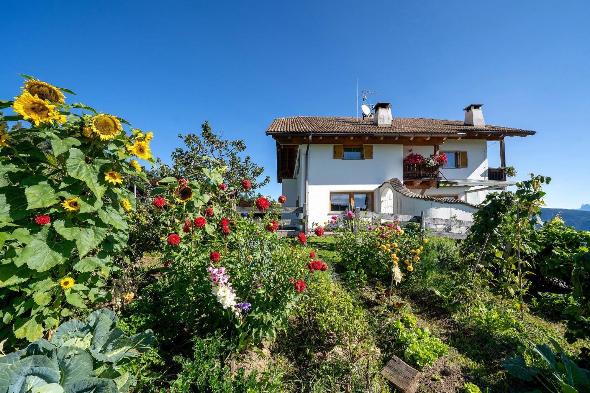 Wohnung Arnika Stuecklhof San Genesio Atesino Exteriér fotografie